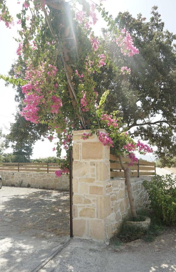 Studio Panagiota - Oasis Holiday Houses Kokkinos Pyrgos Zewnętrze zdjęcie