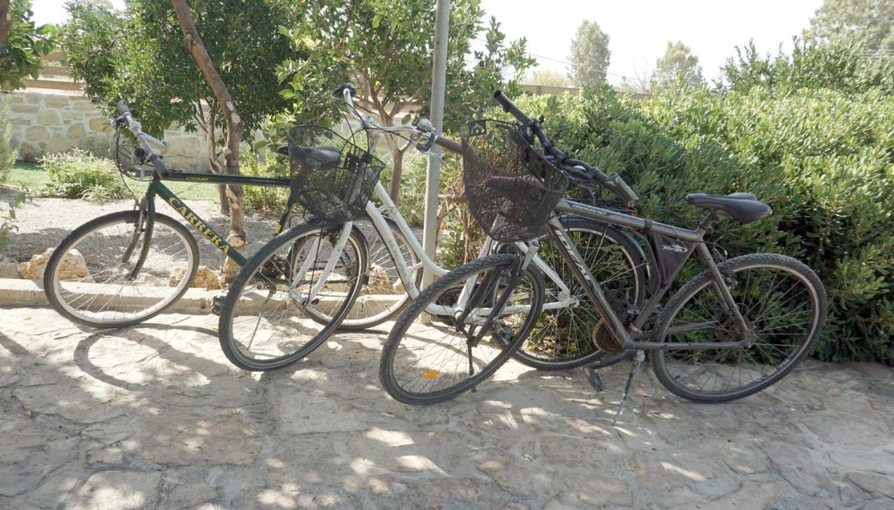 Studio Panagiota - Oasis Holiday Houses Kokkinos Pyrgos Zewnętrze zdjęcie